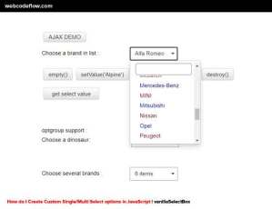 Custom-Single-Multi-Select-vanillaSelectBox
