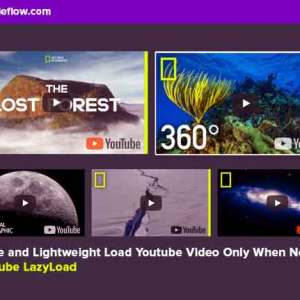 Lightweight-Load-Youtube-Video