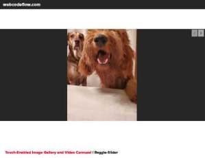 Reggie-Slider