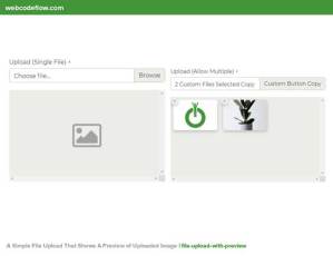 File-upload-with-preview