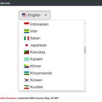 Google-Translate-Dropdown-Customize-With-Country-Flag