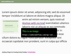 add-tooltip-funkytooltips