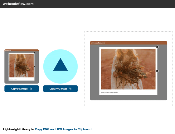 copy-image-to-clipboard-javascript