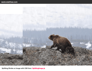 split-image-animation-css