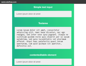 vue-input-select-text-on-focus
